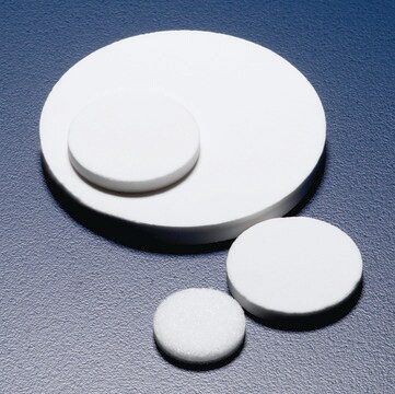 Pyrex&#174; Sintered glass filter disc nominal diameter 50&#160;mm, porosity grade 5