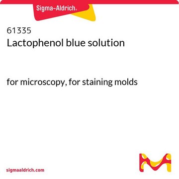 Lactophenol blue solution for microscopy, for staining molds