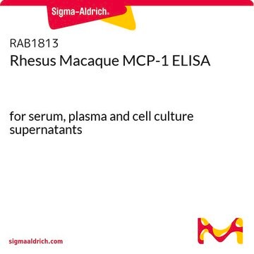 Rhesus Macaque MCP-1 ELISA for serum, plasma and cell culture supernatants