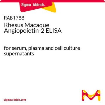 Rhesus Macaque Angiopoietin-2 ELISA for serum, plasma and cell culture supernatants