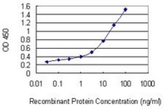 Monoclonal Anti-TM9SF2 antibody produced in mouse clone 1C2, purified immunoglobulin, buffered aqueous solution