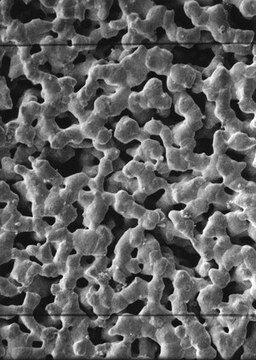 純銀メンブレンフィルター、孔径 0.45 &#956;m Millipore, filter diam. 25&#160;mm, hydrophilic