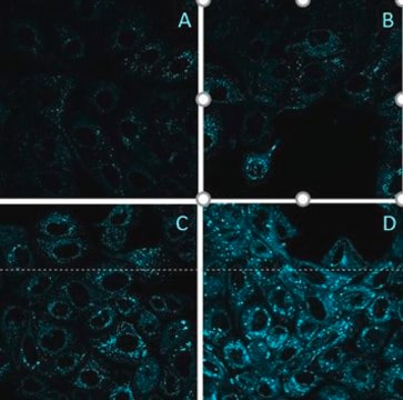 BioTracker&#8482; Blue TFCH Oxidative Stress Probe