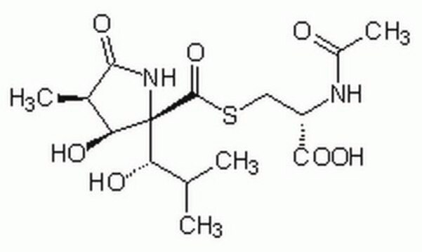 Lactacystin, synthetisch Lactacystin, Synthetic, CAS 1258004-00-0, is an irreversible inhibitor of 20S proteasome inhibitor (IC&#8325;&#8320; = 500 nM). A covalent inhibitor of the chymotrypsin &amp; trypsin-like activities of proteasome.