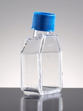 Corning&#174; Falcon&#174; Cell Culture Flask capacity 25&#160;mL, canted neck, graduated, 2 &#8209; 25&#160;mL, cap, blue plug seal