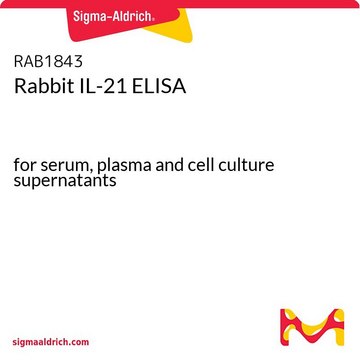 Rabbit IL-21 ELISA for serum, plasma and cell culture supernatants