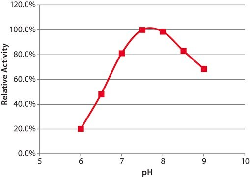 コリンオキシダーゼ Arthrobacter sp.(アルスロバクター属) 由来 recombinant, expressed in E. coli &#8805;12 units/mg protein