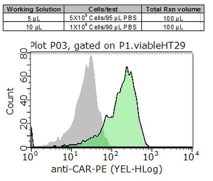 Milli-Mark&#174; Anti-CAR-PE-Antikörper, Klon&nbsp;RmcB clone RmcB, Milli-Mark&#174;, from mouse