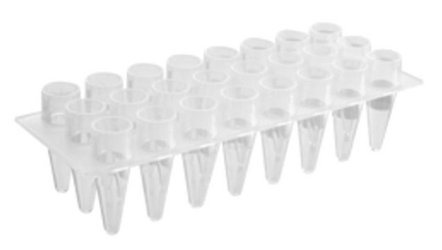 Corning&#174; Axygen&#174; 24 Well PCR Microplate size 24&#160;wells, clear, : no, conical bottom clear polypropylene wells, maximum volume 200&#160;&#956;L, pkg of 5x10plates/cs