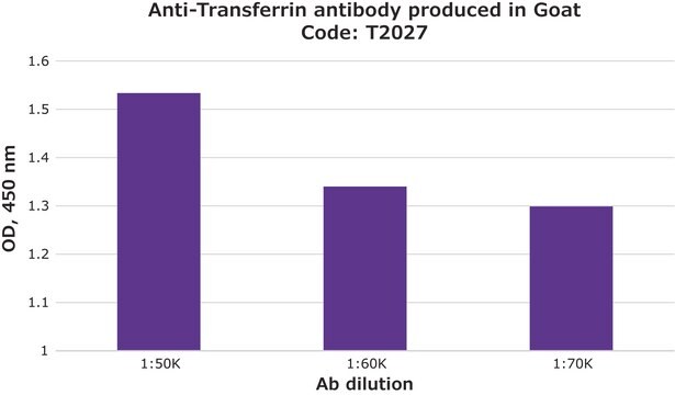 Anti-Transferrin antibody produced in goat whole antiserum