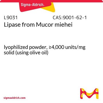 脂肪酶 来源于米黑毛霉菌 lyophilized powder, &#8805;4,000&#160;units/mg solid (using olive oil)