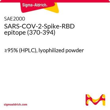 SARS-COV-2-Spike-RBD epitope (370-394) &#8805;95% (HPLC), lyophilized powder