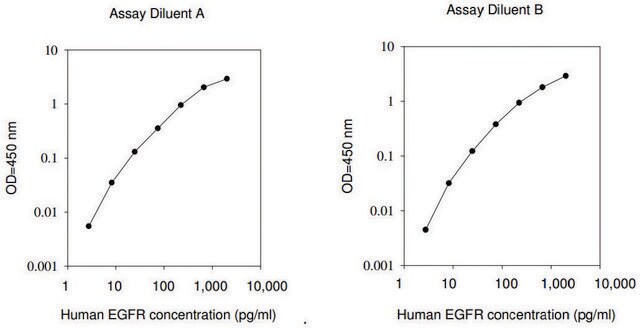 人EGFR/ ErbB1 ELISA试剂盒 for serum, plasma, cell culture supernatants and urine