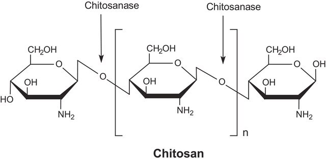 キトサナーゼ Streptomyces griseus由来 lyophilized powder, &gt;50&#160;units/mg protein (Bradford)