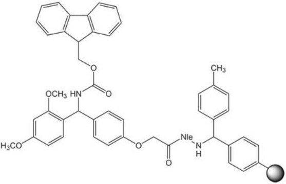 Rink Amide MBHA resin (100-200 mesh) Novabiochem&#174;