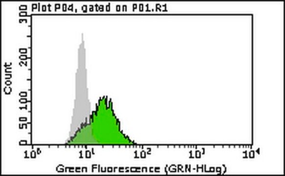 Anti-p62(Sequestosom-1)-Antikörper, Klon&nbsp;11C9.2 clone 11C9.2, from mouse