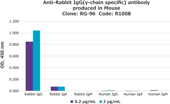 Monoclonal Anti-Rabbit IgG (&#947;-chain specific) antibody produced in mouse clone RG-96, ascites fluid