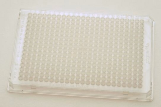 Eppendorf&#174; Twin tec PCR plates, 384 wells colorless plate, conical bottom colorless wells, pkg of 300&#160;ea