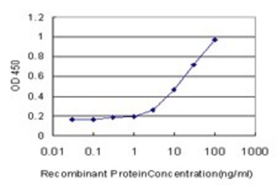 Monoclonal Anti-RPL32 antibody produced in mouse clone 1C3, purified immunoglobulin, buffered aqueous solution