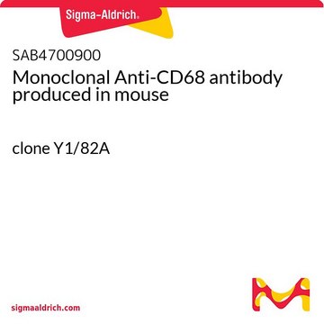 Monoclonal Anti-CD68 antibody produced in mouse clone Y1/82A