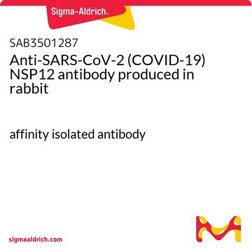 Anti-SARS-CoV-2 (COVID-19) NSP12 antibody produced in rabbit affinity isolated antibody