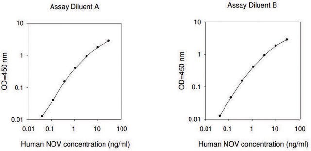 Human NOV / Protein NOV Homolog ELISA Kit for serum, plasma, cell culture supernatants and urine