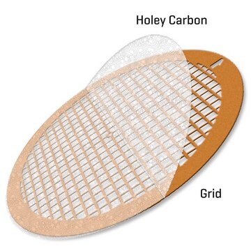 Holey Carbon Supported Copper Grids size 200&#160;mesh, size 100&#160;nm , Hole, box of 25