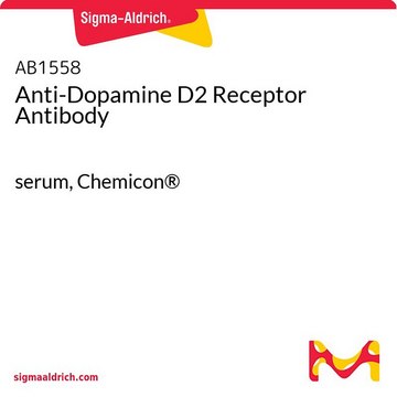 抗多巴胺D2受体抗体 serum, Chemicon&#174;