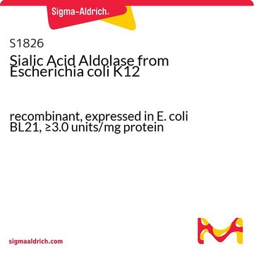 Sialic Acid Aldolase from Escherichia coli K12 recombinant, expressed in E. coli BL21, &#8805;3.0&#160;units/mg protein