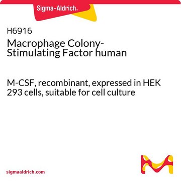 Monozytenkolonien-stimulierender Faktor human M-CSF, recombinant, expressed in HEK 293 cells, suitable for cell culture