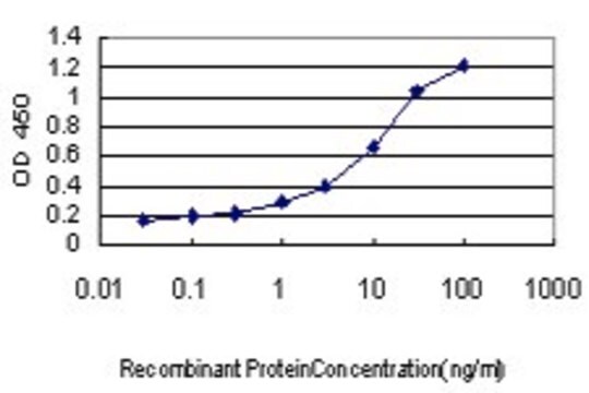 Monoclonal Anti-MIB1 antibody produced in mouse clone 2A9, purified immunoglobulin, buffered aqueous solution