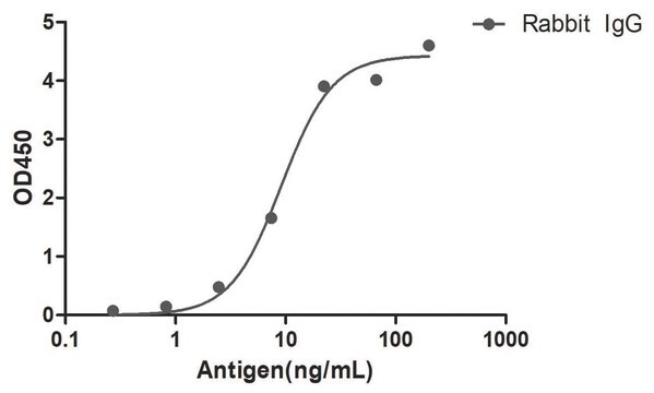 Kozie przeciwciało anty-Rabbit IgG(Fcγ) HRP Alpaca Heavy chain only Antibody recombinant Alpaca(VHH) Nano antibody