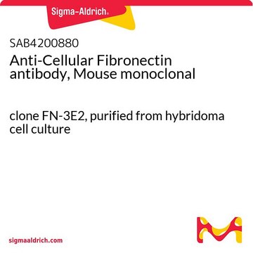 Anti-Cellular Fibronectin antibody, Mouse monoclonal clone FN-3E2, purified from hybridoma cell culture