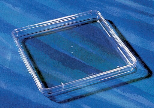 Boîtes carrées pour essais biologiques Corning&#174; low profile, without handles, not TC treated, square