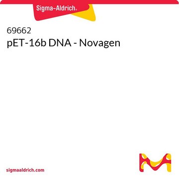 DNA pET-16b - Novagen