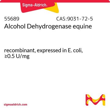 乙醇脱氢酶 马 recombinant, expressed in E. coli, &#8805;0.5&#160;U/mg