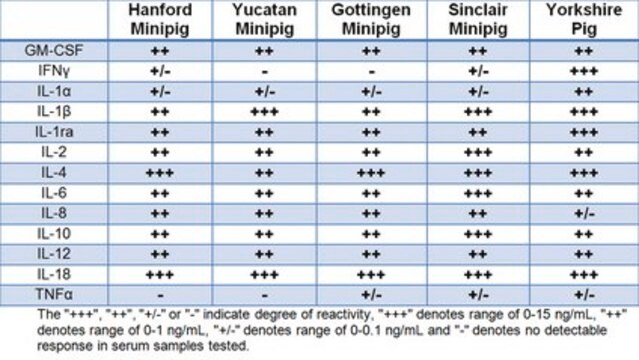 Pannello per l’analisi di citochine/chemochine suine MILLIPLEX&#174; con sferette magnetiche - Saggio immunologico multiplex Simultaneously analyze multiple cytokine and chemokine biomarkers with Bead-Based Multiplex Assays using the Luminex technology, in porcine serum, plasma and cell culture samples.