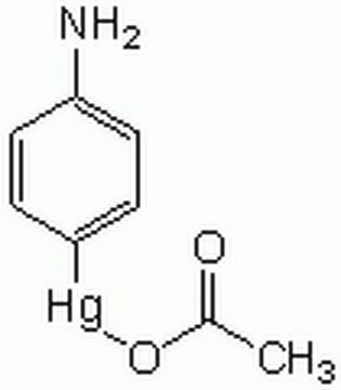 p-Aminophenylquecksilberacetat An organomercurial agent used for the activation of latent MMPs in vitro. Acts by facilitating the loss of the enzyme propeptide domain through an autolytic cleavage known as the cysteine switch.