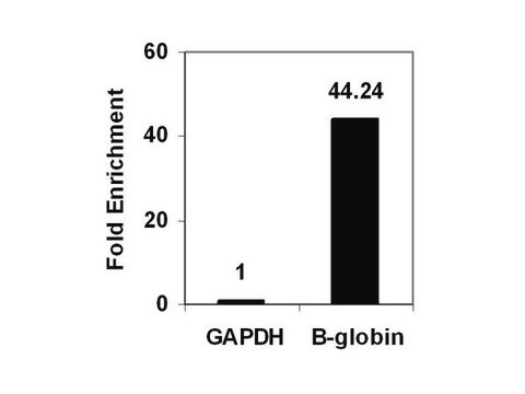 ChIPAb+-Dimethyl-Histon&nbsp;H3 (Lys9) – durch ChIP validiertes Antikörper- und Primer-Set serum, from rabbit