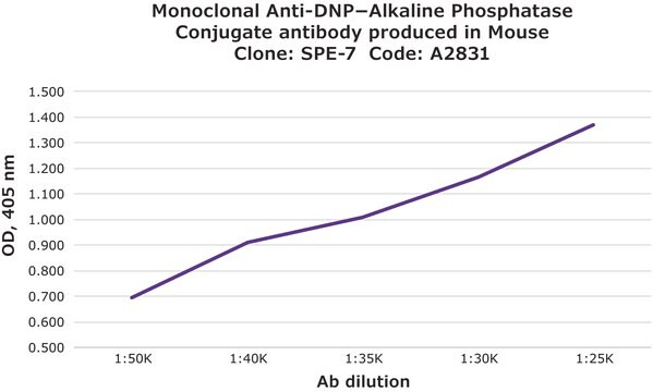 Conjugado anti-DNP&#8722; monoclonal-fosfatasa alcalina antibody produced in mouse clone SPE-7, purified immunoglobulin, buffered aqueous glycerol solution