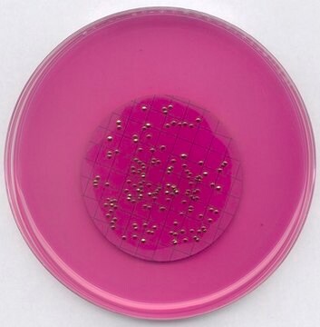 m-ENDO agar LES GranuCult&#174;, APHA, suitable for microbiology, for coliforms