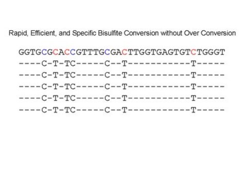 Kit de modificación con bisulfito CpGenome Turbo The CpGenome Turbo Bisulfite Modification Kit is designed to simplify &amp; streamline the bisulfite modification process. In just 90 minutes go from DNA sample to bisulfite converted DNA ready for analysis.