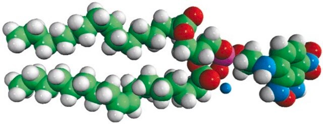 Egg NBD PE Avanti Polar Lipids 810118C