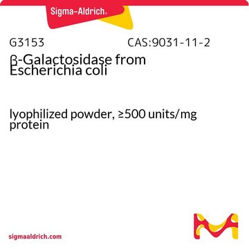 &#946;-ガラクトシダーゼ 大腸菌由来 lyophilized powder, &#8805;500&#160;units/mg protein