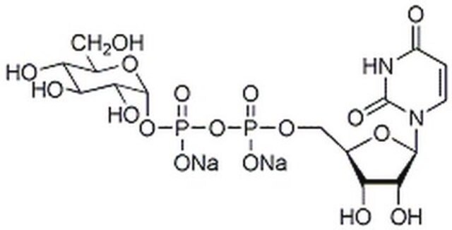 UDP-&#945;-D-Glucose, Dinatriumsalz, CAS-Nr. 117756-22-6, Calbiochem Donor substrate for glucosyltransferases. A key intermediate in the biosynthesis of glycogen.