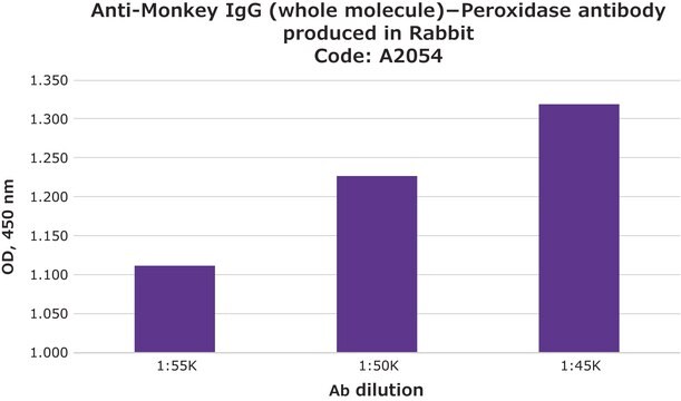 Anti-Monkey IgG (whole molecule)&#8722;Peroxidase antibody produced in rabbit affinity isolated antibody, buffered aqueous solution