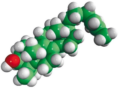 lanosterol-95 Avanti Research&#8482; - A Croda Brand