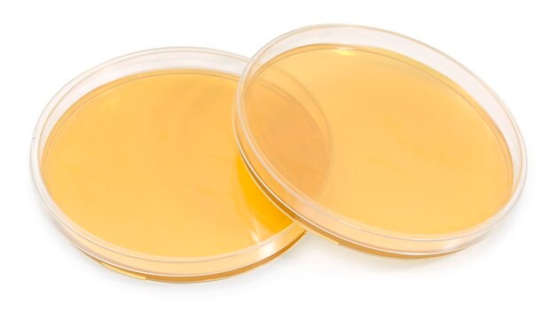 Tryptic Soy Agar with Lecithin and Tween&#174;, 90mm ICR+ Settle plate, irradiated, triple packed, for environmental monitoring (Isolator and Clean room)