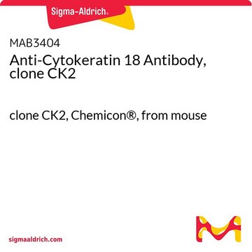 Anticorps anti-cytokératine 18, clone CK2 clone CK2, Chemicon&#174;, from mouse