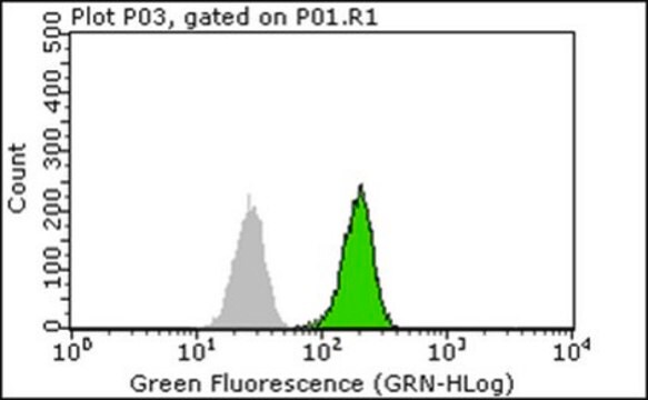 Anti-BMI1 Antibody, clone AF27 clone AF27, from mouse